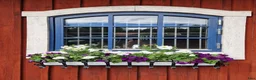  stallplats finnes: Stallplats finnes - Annons 1