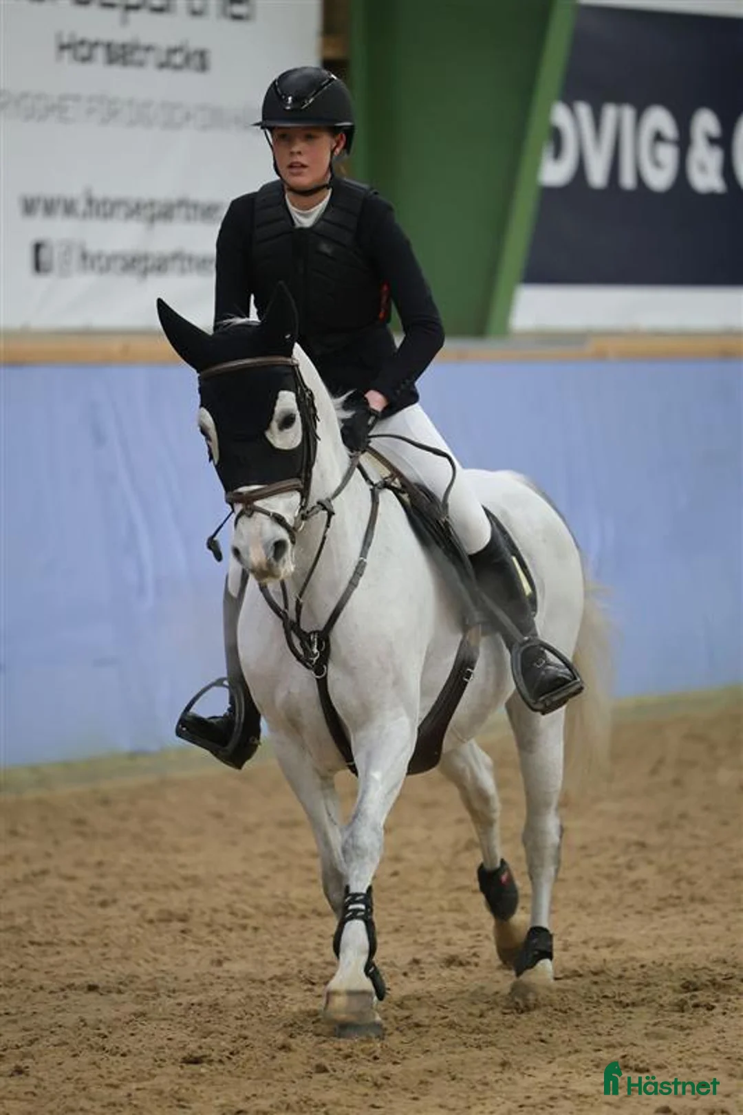 Hoppning hästar till salu: Fullstammad svensk ridponny, sto född 2009, - Annons 3