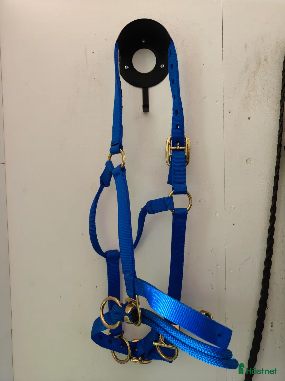 Övrig Hästutrustning hästutrustning till salu: Dually Grimma stl. Large/xfull - Annons 3