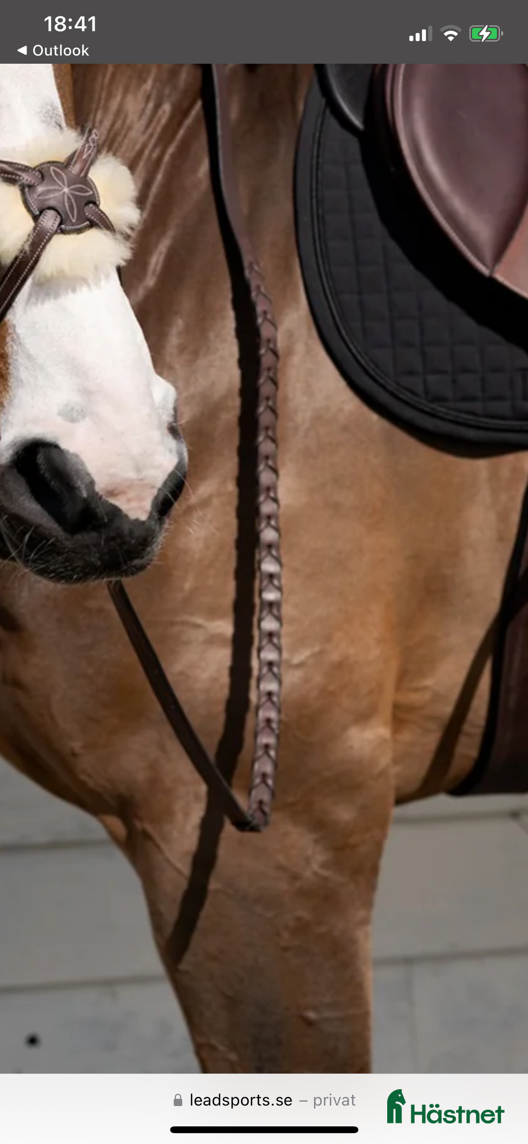 Övrig Hästutrustning hästutrustning till salu: Svarta flätade tyglar strl full  i Eskilstuna - Annons 2