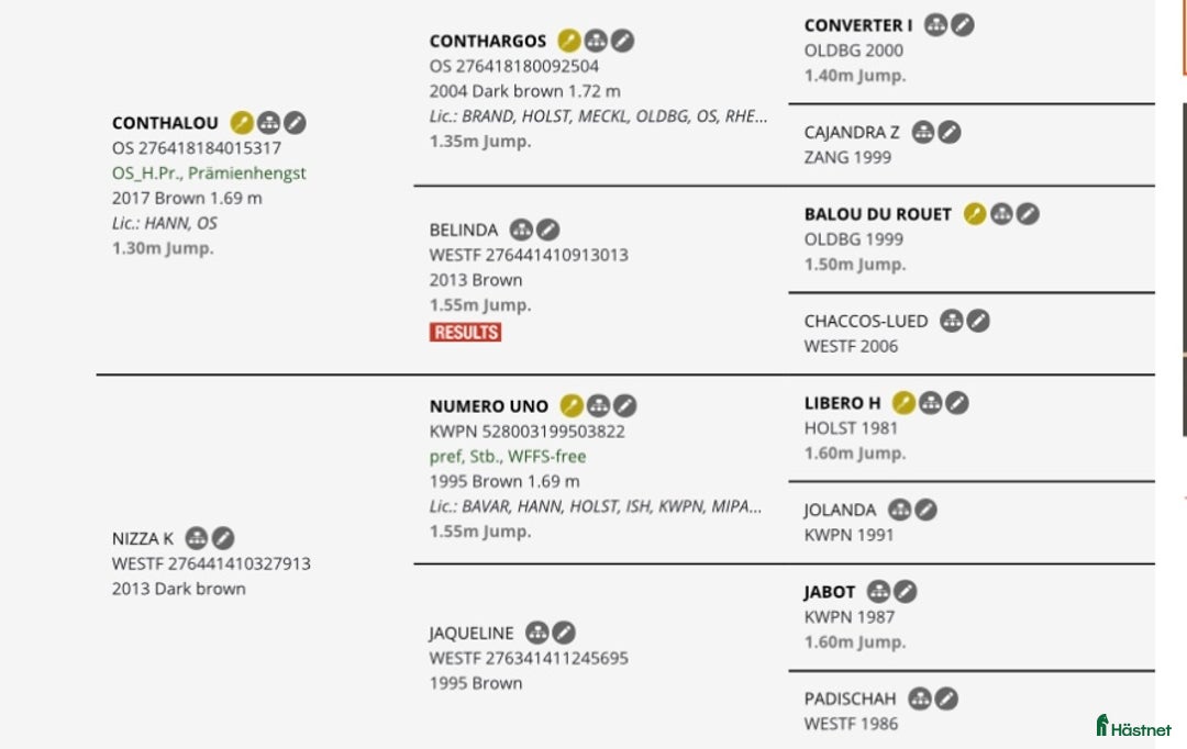 Avelshästar hästar till salu: Toppstammad, superatlet för avel i Tystberga - Annons 2