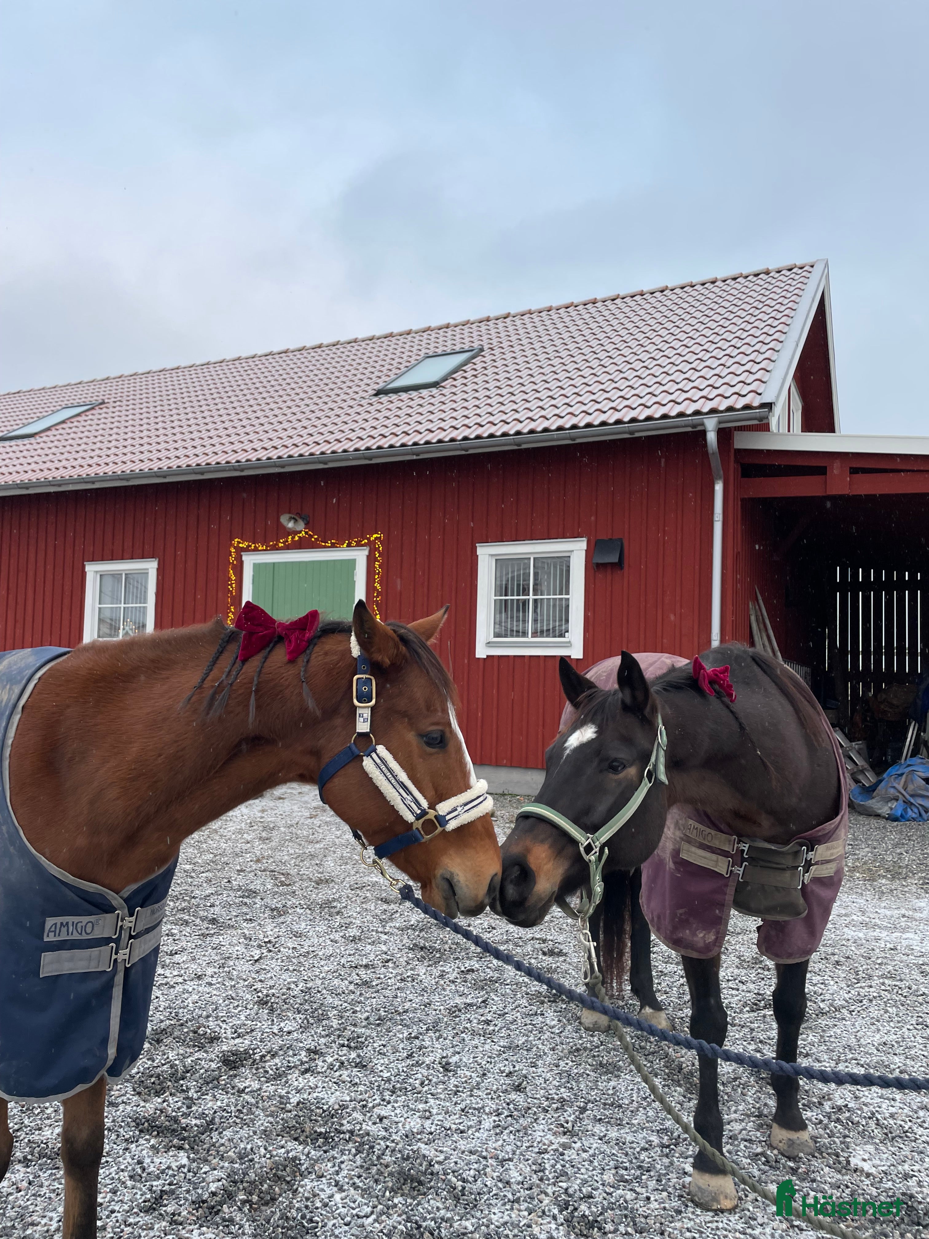  stallplats Stallplats Alingsås - Annons 7