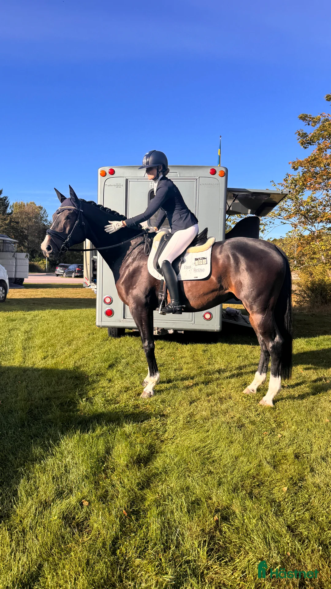  hästservice finnes: Förmedling, utbildning, träning, tävling i Skultuna - Annons 3