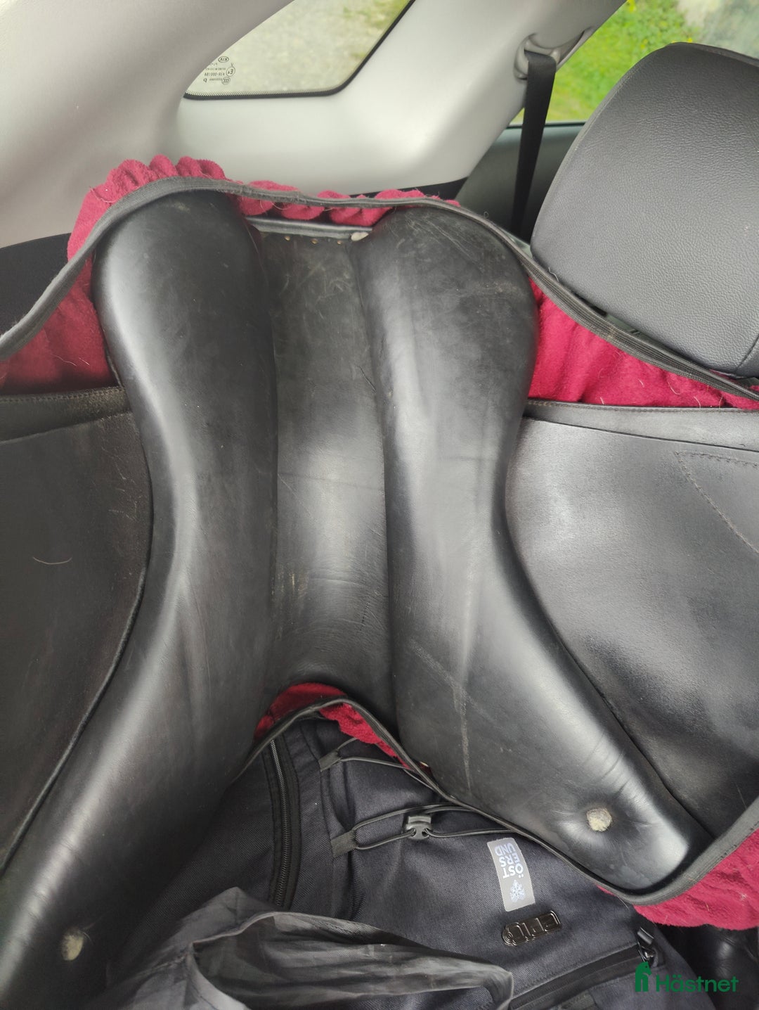 Sadlar hästutrustning till salu: Fin Globus clic i Östersund - Annons 6