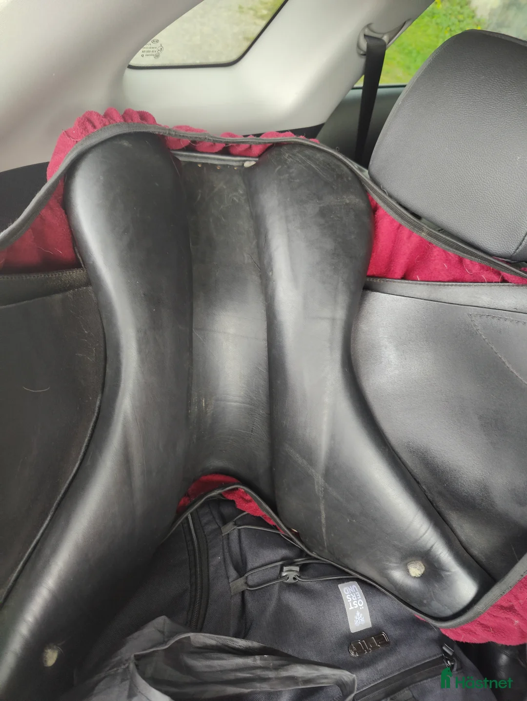 Sadlar hästutrustning till salu: Fin Globus clic i Östersund - Annons 6