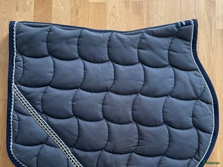 Schabrak & Vojlockar hästutrustning till salu: Super fint Anna Scarpati schabrak i Ljungby - Annons 7