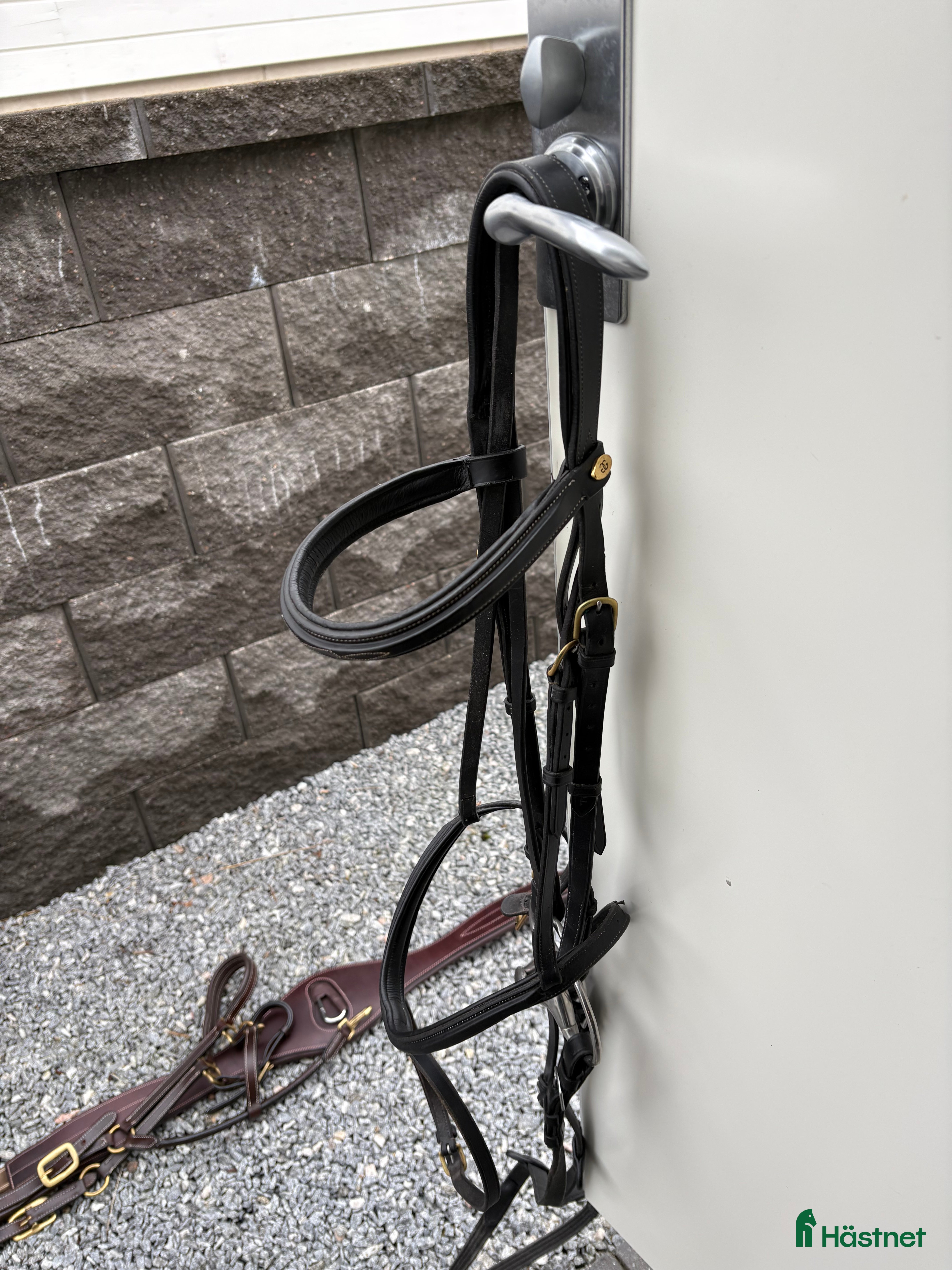 Träns hästutrustning Svart träns till salu - Annons 3