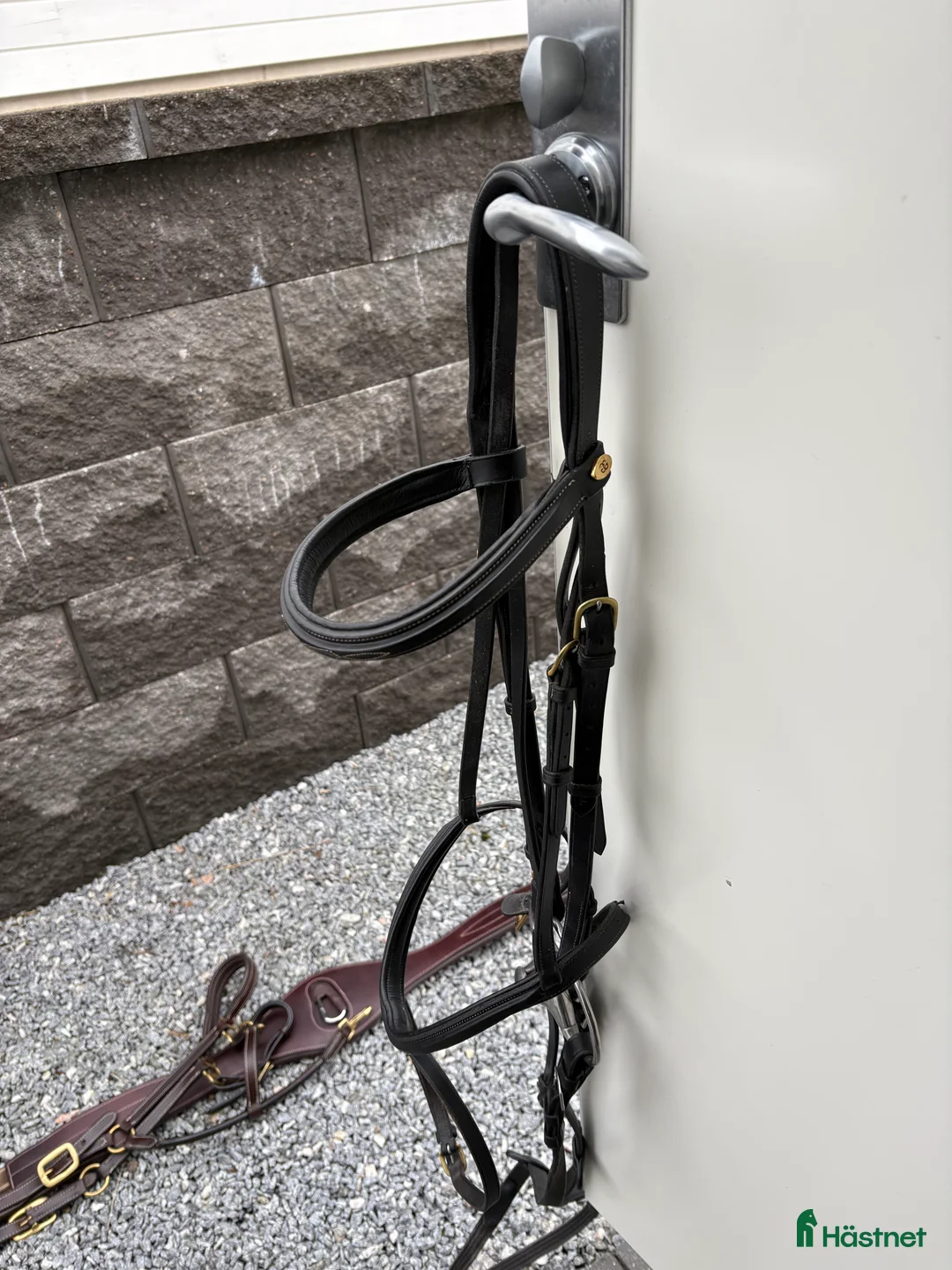 Träns hästutrustning till salu: Svart träns till salu - Annons 1