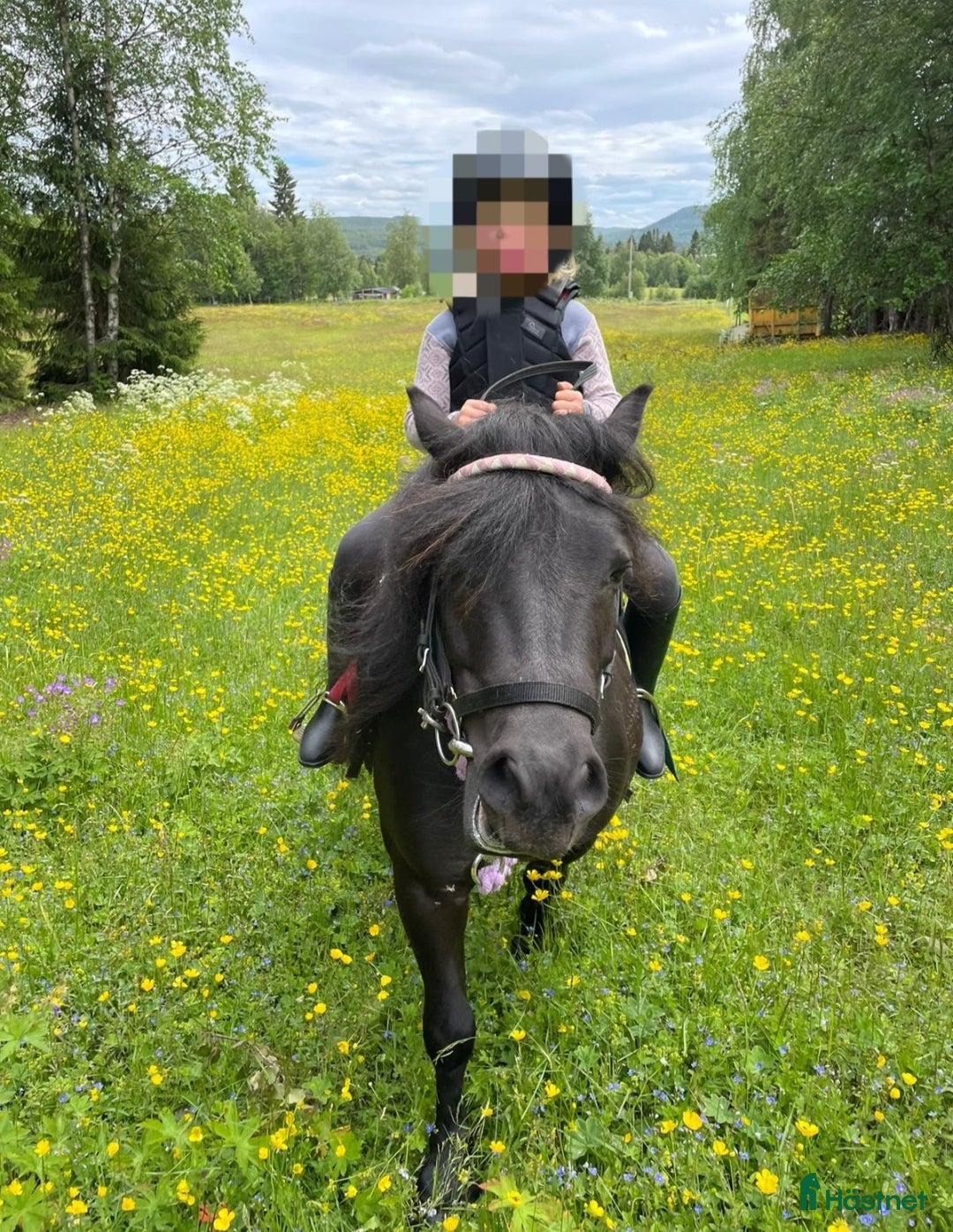 hästar Världens bästa ponny - Annons 1