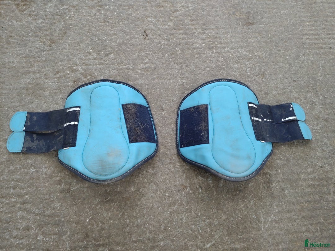 Övrig Hästutrustning hästutrustning till salu: Allt ska bort  i Knivsta - Annons 10