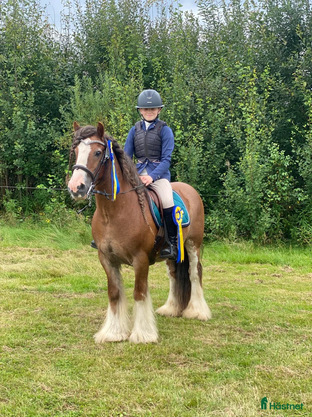 Allround hästar till salu: Ponny som stocker ut i mängden! i Vedum - Annons 6