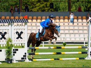 hästar Pony showjumping i Bräkne-Hoby - Annons 1