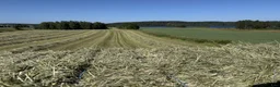  hästservice finnes: Hö i rundbal och småbal - Annons 2