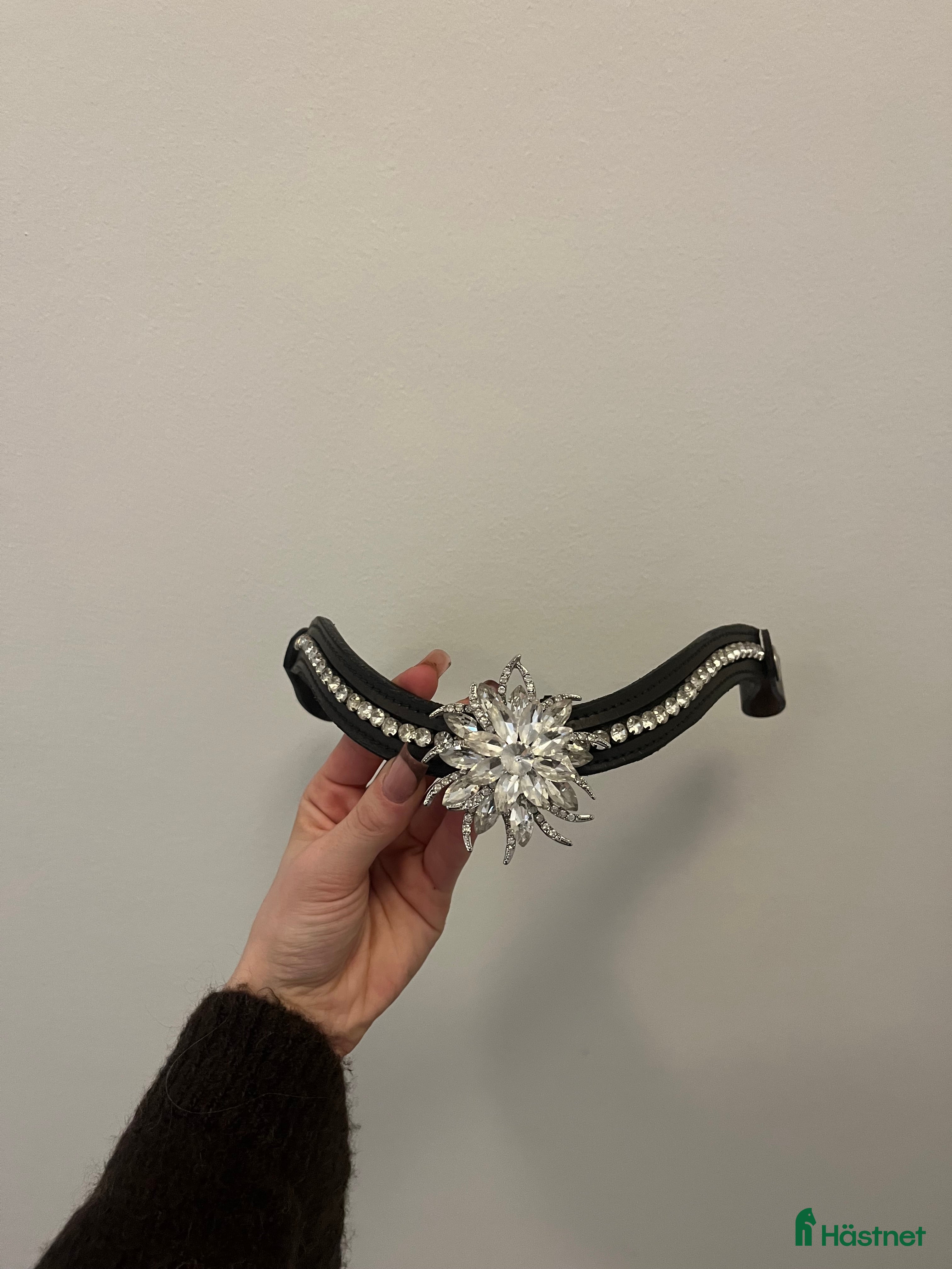 Övrig Hästutrustning hästutrustning till salu: mörkbrunt pannband i Spånga - Annons 14