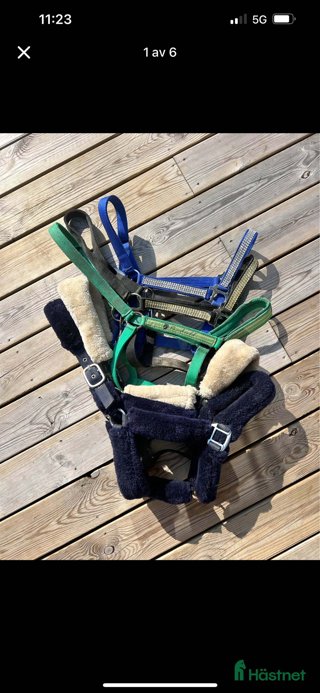 Övrig Hästutrustning hästutrustning till salu: Hästutrustning i Järfälla - Annons 12