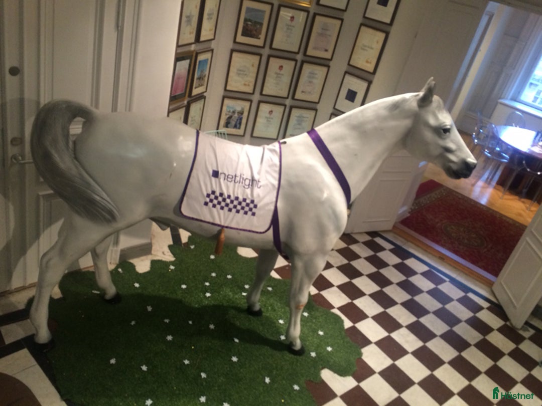 Hästinspirerad heminredning övrig utrustning till salu: Unika glasfiberhästar i naturlig storlek i Luleå - Annons 25