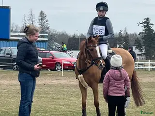 hästar Mycket trevlig ponny! - Annons 9