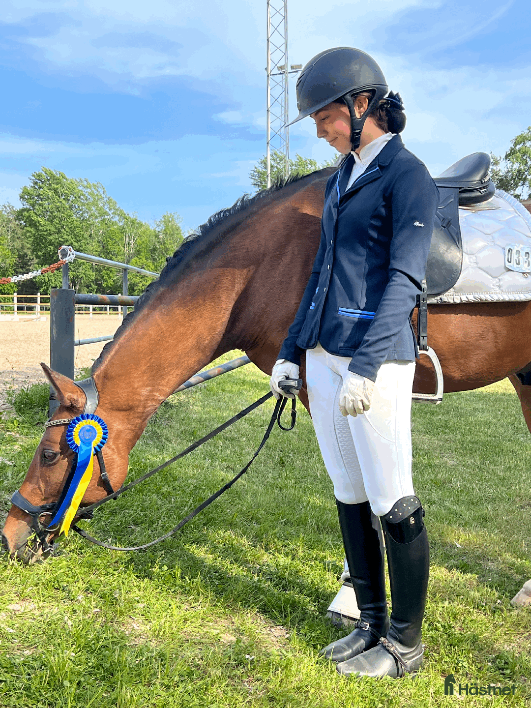 Dressyr hästar till salu: FEI-ponny med power under hovarna i Nacka - Annons 7