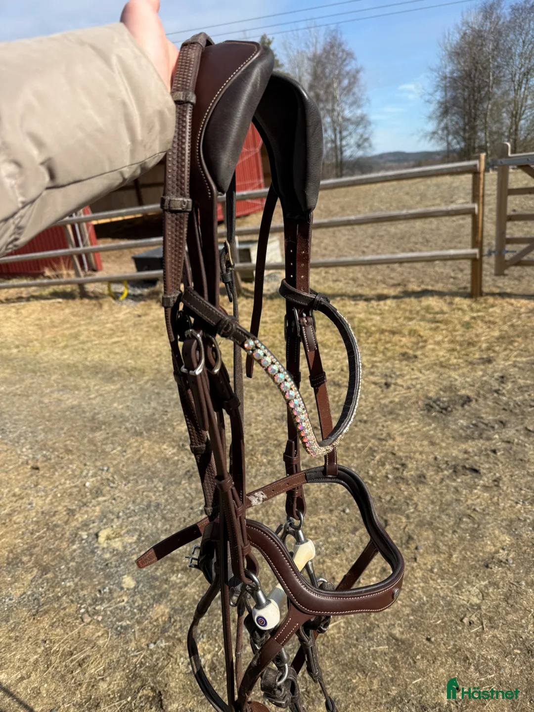 Träns hästutrustning till salu: Antares träns full  - Annons 4