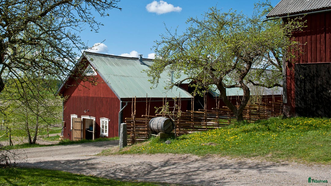  stallplats finnes: Lediga stallplatser Hollstad i Norrköping - Annons 2