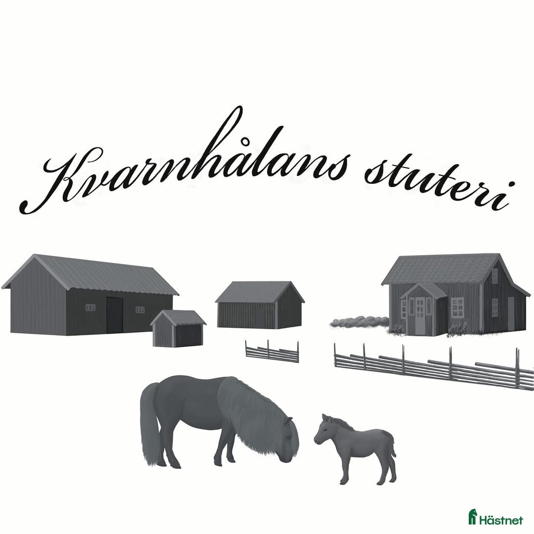 Galleribild {{count}}