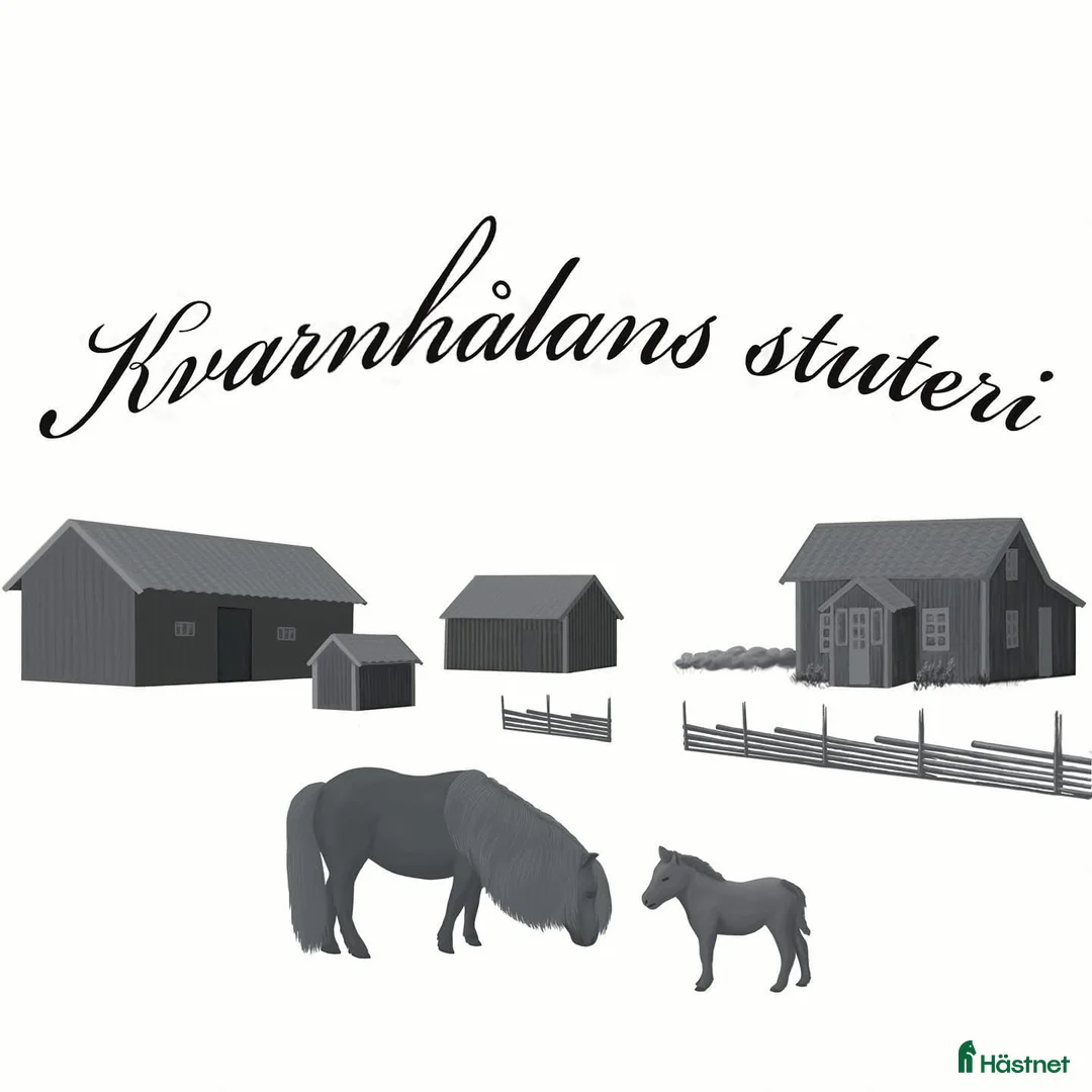 Galleribild {{count}}