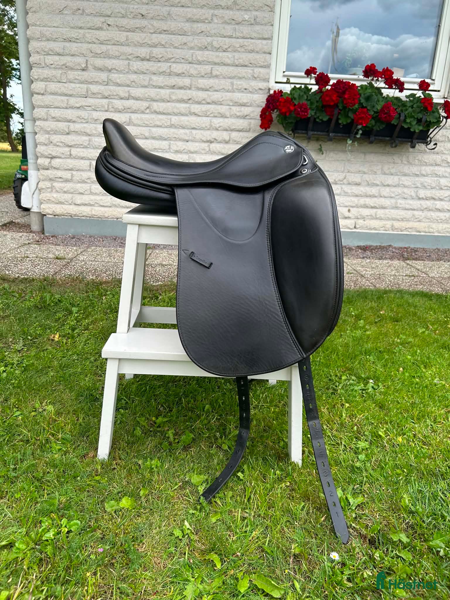 Sadlar hästutrustning Prestige D1x16 islandssadel, M bom - Annons 10