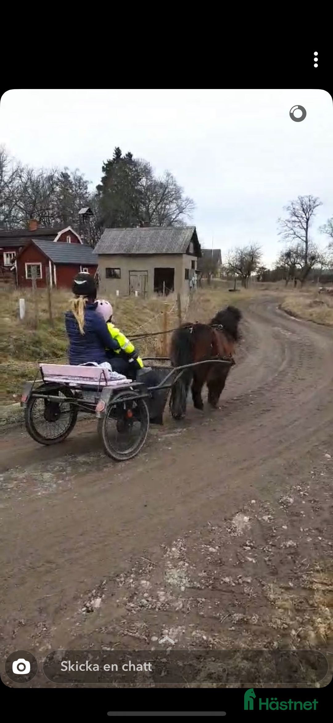 Allround hästar till salu: 2 fina barnvänliga ston i Kolbäck - Annons 5