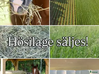 Stallinredning, stängsel & gård övrig utrustning till salu: Hösligae säljes - Annons 3