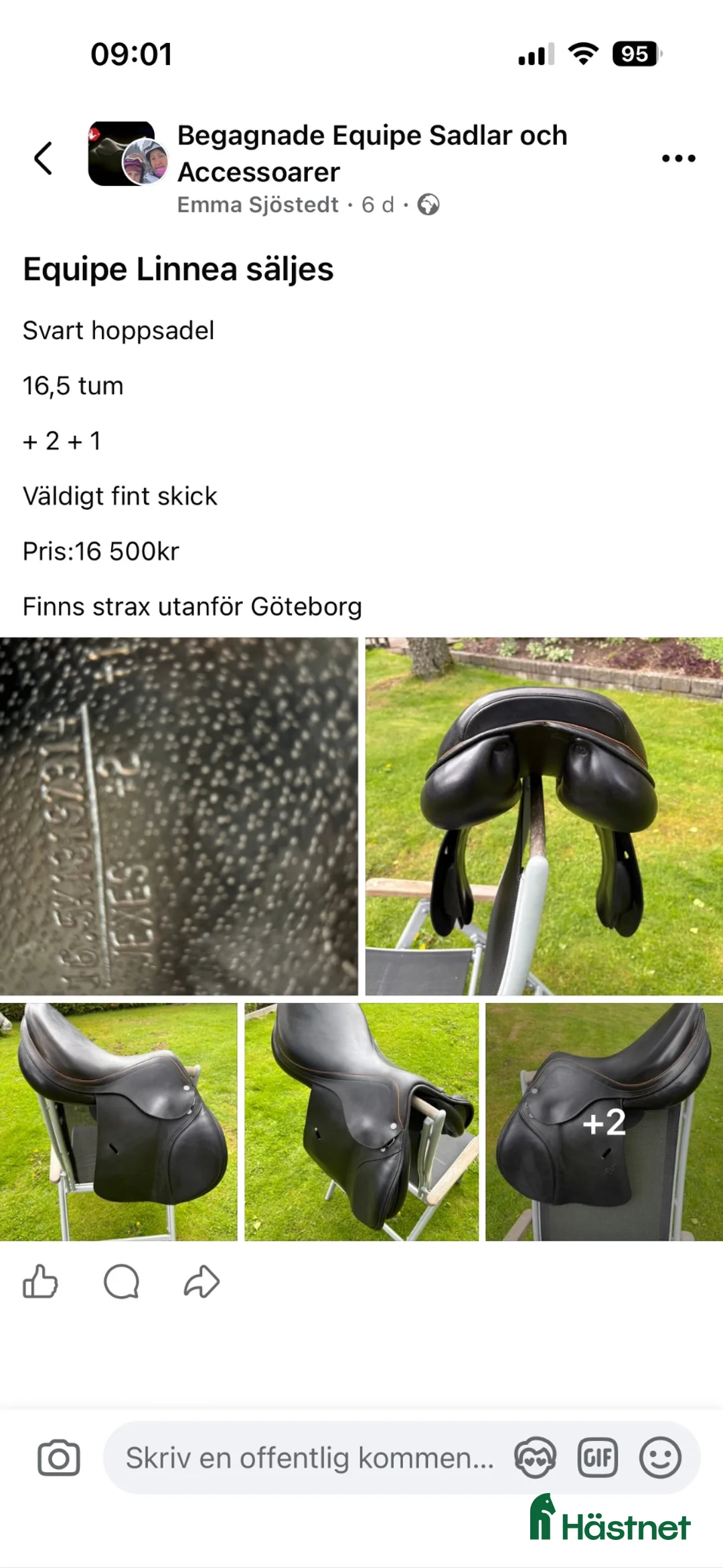 Sadlar hästutrustning till salu: Equipe Linnea svart hoppsadel säljes  - Annons 2