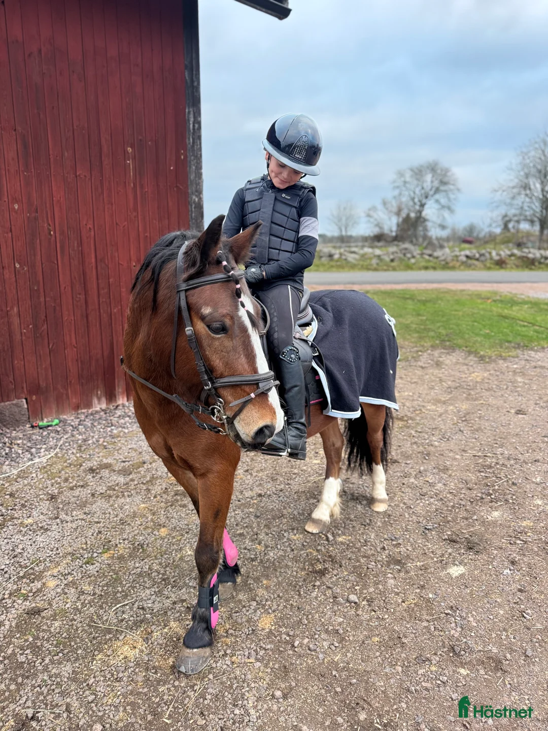 Allround hästar till salu: Maxad B-ponny för hobbyridning i Vimmerby - Annons 2