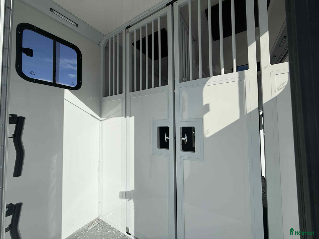 Hästlastbilar  fordon & transport till salu: KAMPANJ NORSIC HORSE 5 STUTERI *HÖG LASTVIKT* i Köping - Annons 9