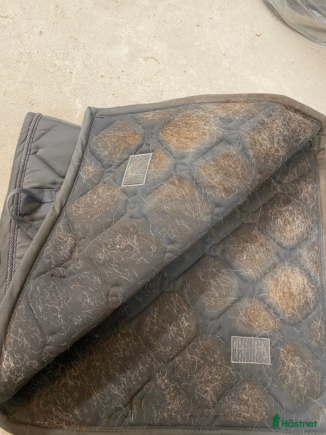 Schabrak & Vojlockar hästutrustning till salu: Es schabrak FULL i Bergsjö - Annons 2