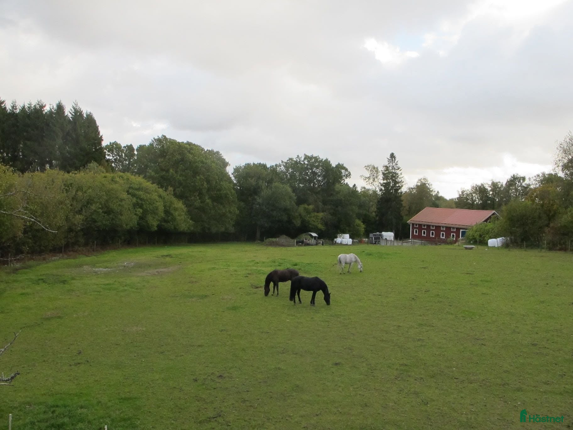  stallplats Stallet i Öjersjö får lediga platser from 15 aug. - Annons 1
