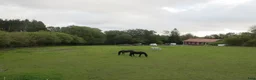  stallplats finnes: Stallet i Öjersjö får lediga platser from 15 aug. - Annons 1