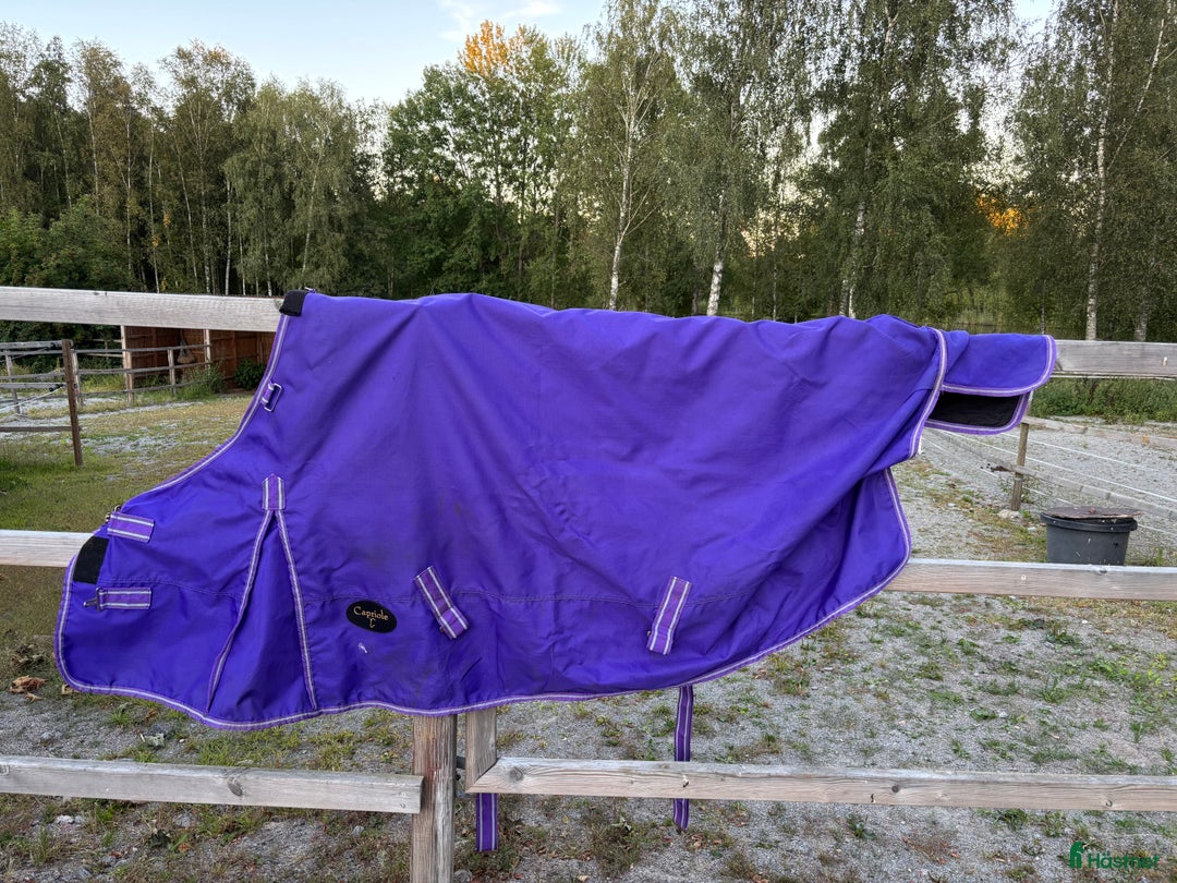 Täcken hästutrustning till salu: Lila regntäcke strl 145 cm i Asarum - Annons 1