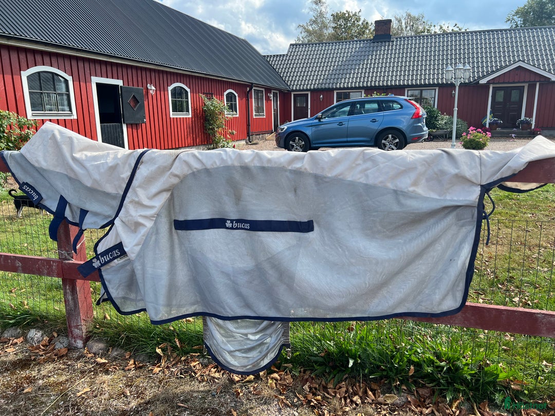 Täcken hästutrustning till salu: Buccas Buzz of rain  i Laholm - Annons 1