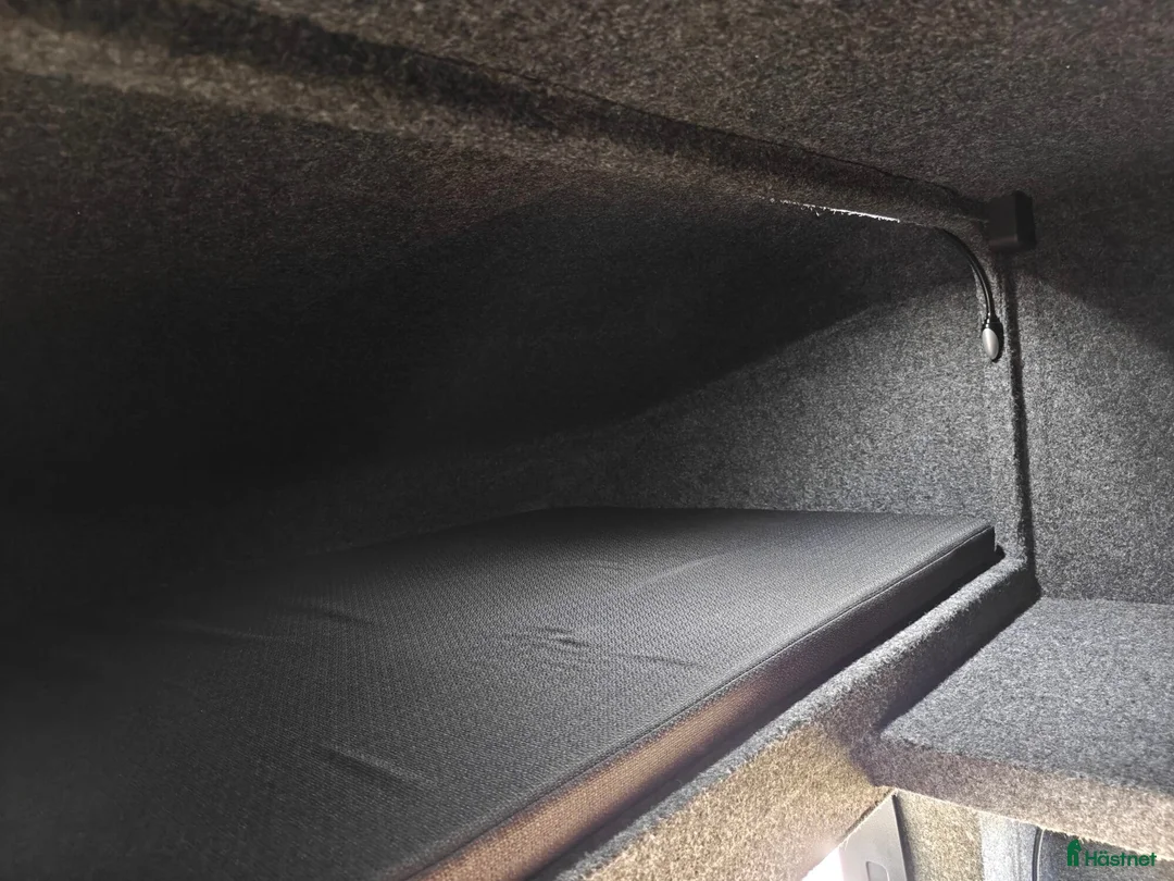 Hästlastbilar  fordon & transport till salu: UME Light5-S Stuteri i Borlänge - Annons 10