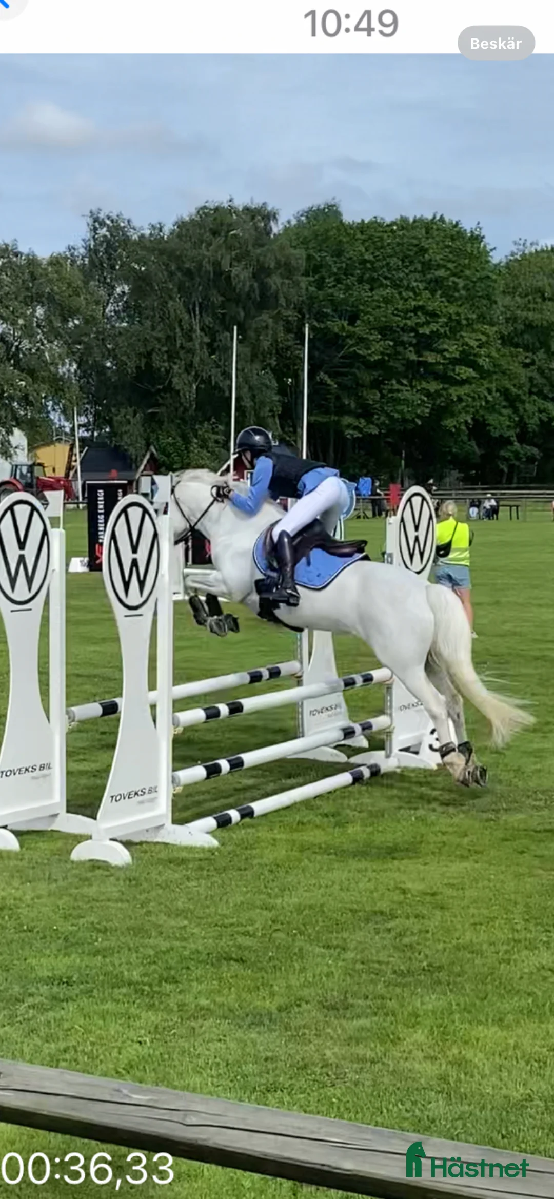 Allround hästar till salu: Drömponny redo för nya äventyr 🦄 i Vallda - Annons 2