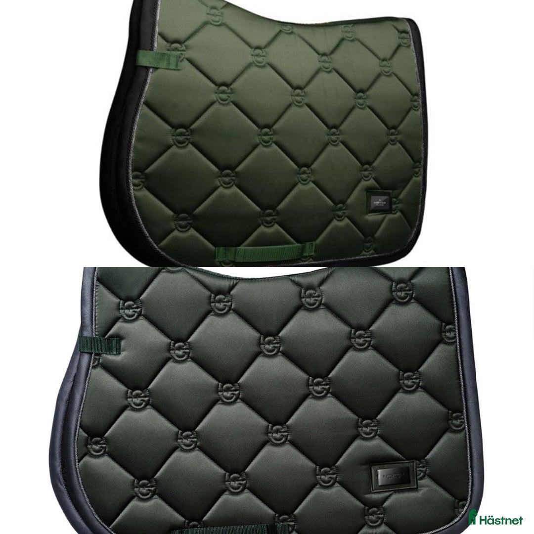 Schabrak & Vojlockar hästutrustning till salu: SÖKER ES schabrak i grönt💚 - Annons 1