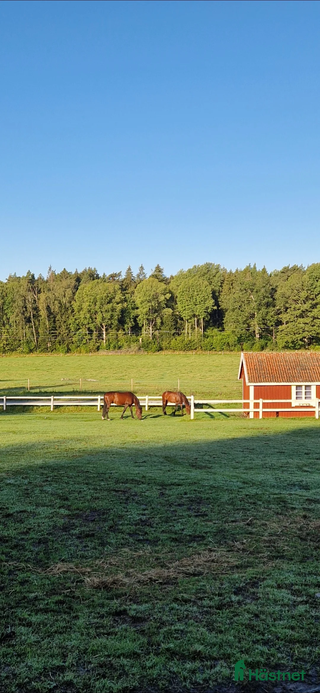  stallplats finnes: Stallplats på Snyggboda i Kungsängen - Annons 6