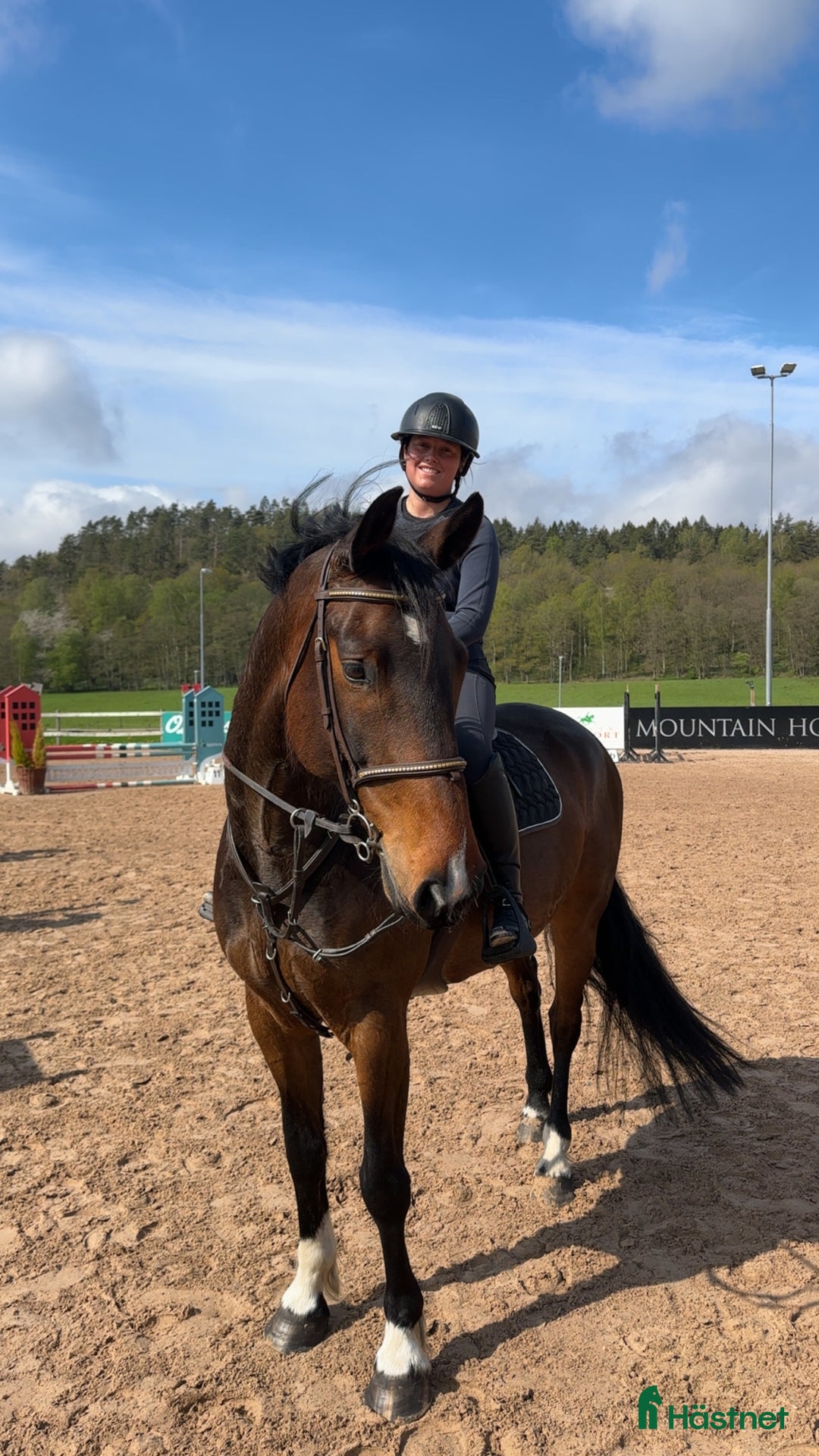  hästservice finnes: Samarbete/ rehab / tillridning / inridning  i Ödsmål - Annons 2