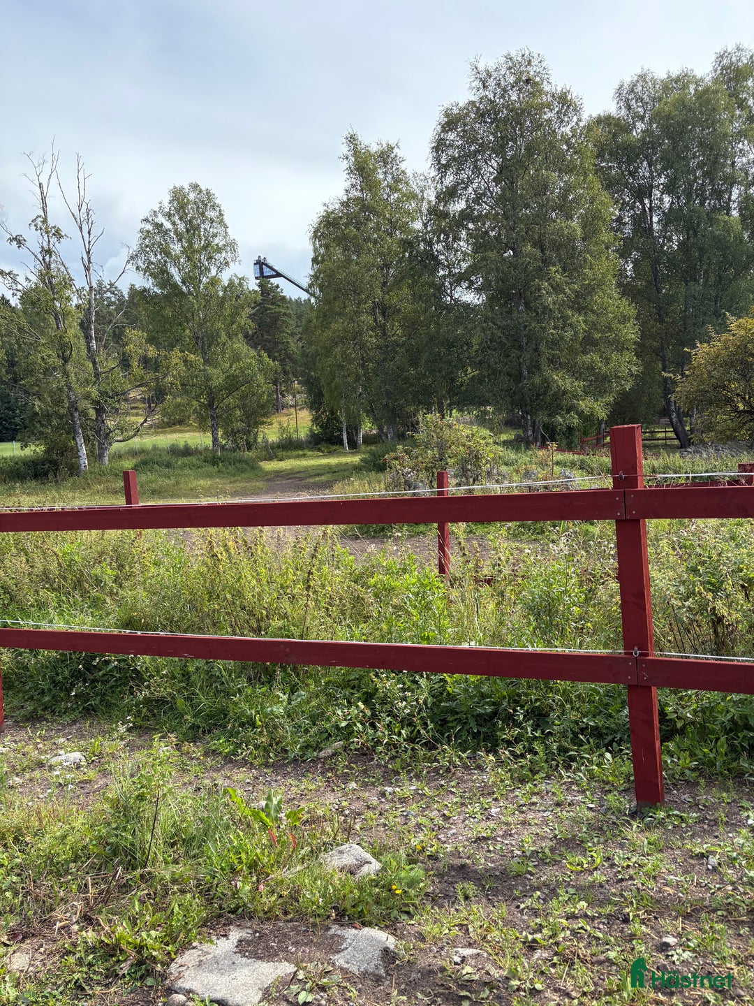  stallplats finnes: Lösdriftsplatser i Lugnet Falun i Falun - Annons 1