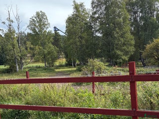 stallplats Lösdriftsplatser i Lugnet Falun i Falun - Annons 8