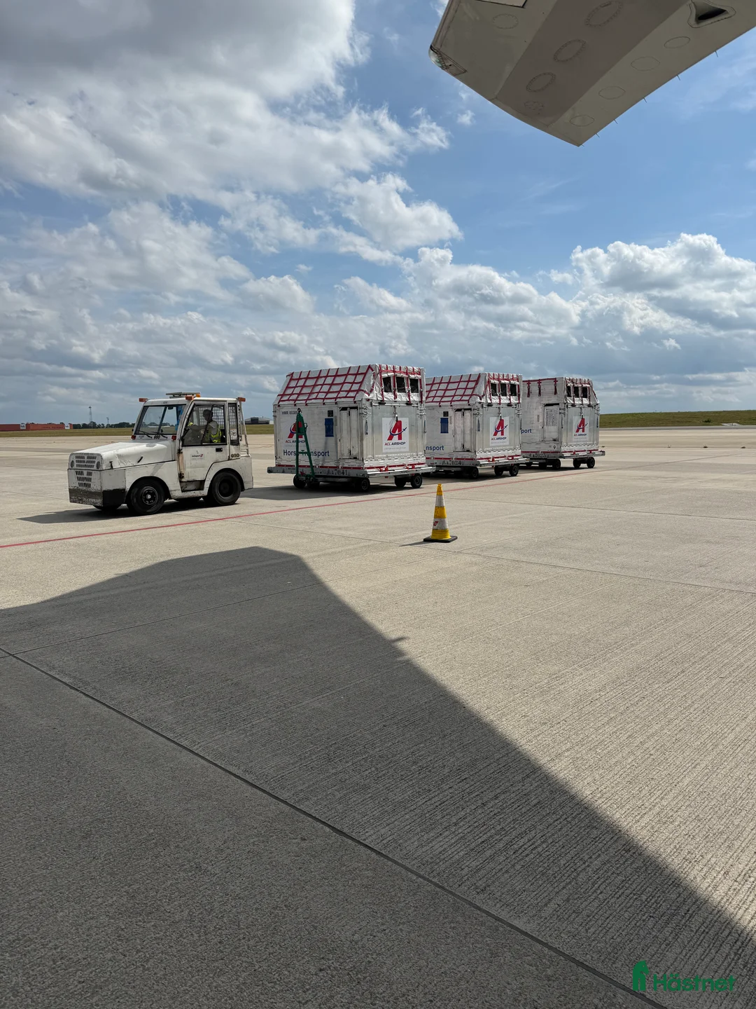  hästservice finnes: Hästtransport i Sverige, Finland, Europa och USA i Blentarp - Annons 4