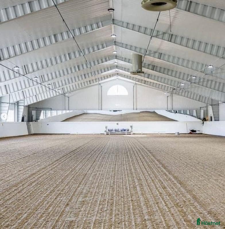  stallplats Fullservice alla dagar året om - Annons 1