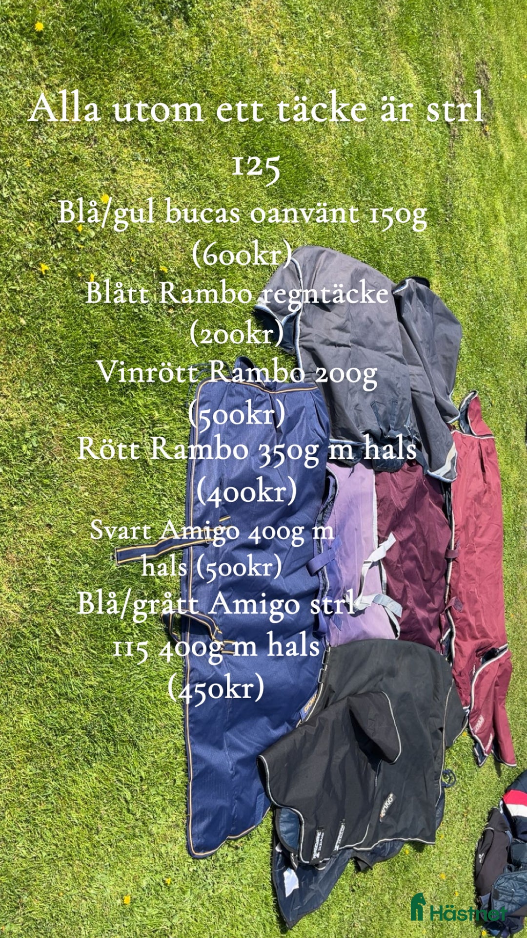 Täcken hästutrustning till salu: Amigo, Rambo, back on track & Dion i Alunda - Annons 1