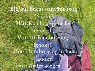 Täcken hästutrustning till salu: Amigo, Rambo, back on track & Dion i Alunda - Annons 13