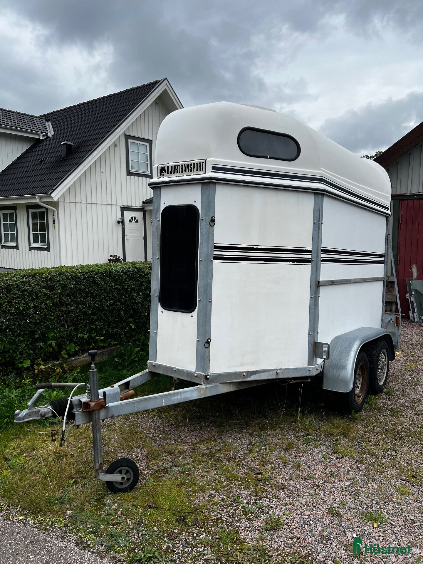 Hästtransporter  fordon & transport till salu: BOJ BRAVO - Annons 1