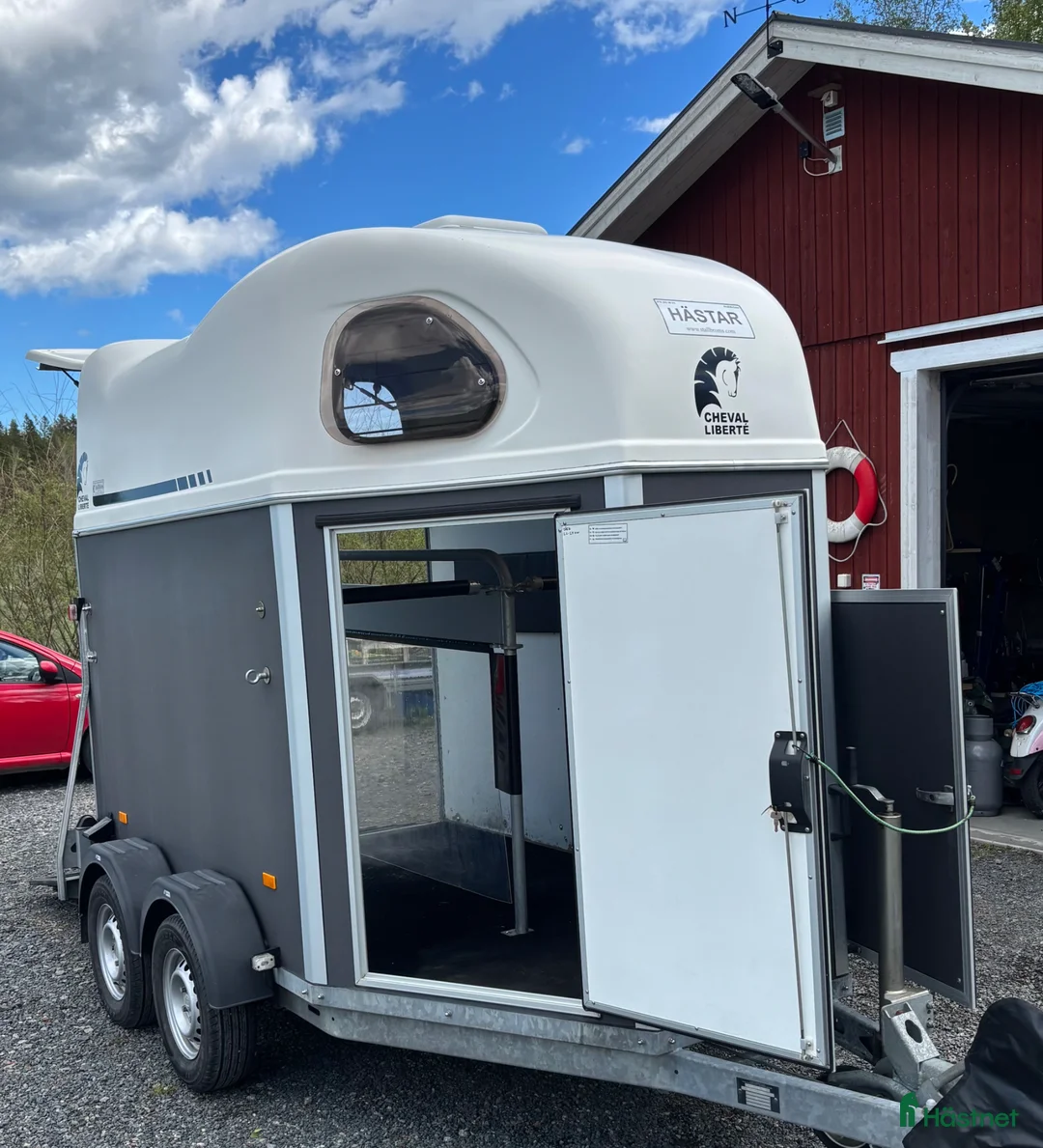 Hästtransporter  fordon & transport till salu: Cheval liberte gold first -2020 - Annons 1
